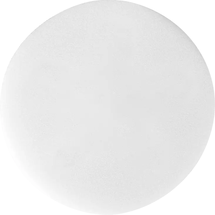 Ulkoporealtaan liankerääjä kiekko - Puhdistusvälineet ja -aineet - 91060140 - 1