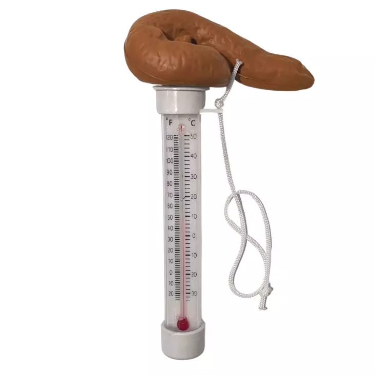 Lämpömittari, kakka - Lämpömittarit ulkoporealtaisiin - 5064425 - 1